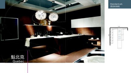 西泊櫥柜產(chǎn)品效果圖片展示_供應(yīng)_價(jià)格配置_合肥市西泊家具_(dá)中櫥網(wǎng)